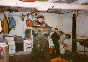 Dorsch 9,8 kg Leuchtturm im Krågvågfjorden 1.jpg